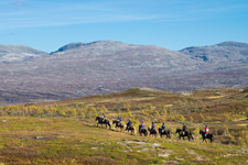 Norway-Norway-Mountain Treks in Norway
